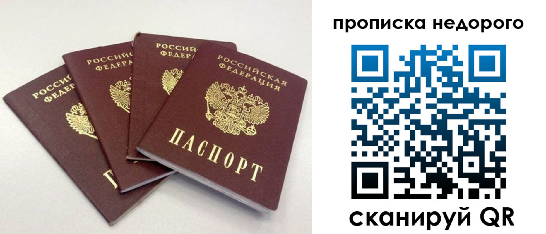 прописка законно в Ардоне